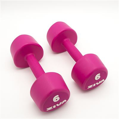 2 Mancuernas de 6 Kg Ziva Chic Studio Rosa