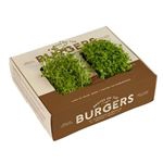 Kit autocultivo Resetea brotes burger
