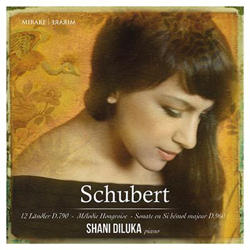 Schubert. Sonate d.960 características