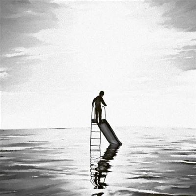 Playground In A Lake - 2 Vinilos
