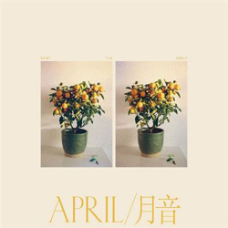 April - Vinilo características