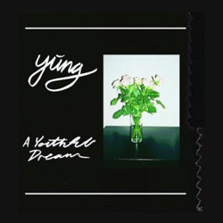 A Youthful Dream (Edición vinilo) en oferta