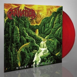 Where Death Lies - Vinilo Color precio