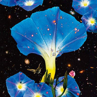 Nighttime Birds And Morning Stars - Vinilo