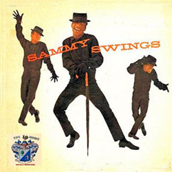 Sammy Swings en oferta