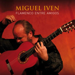 Flamenco Entre Amigos características