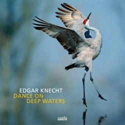 Dance On Deep Waters precio