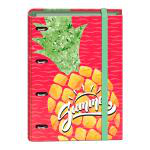 Carpeta A4 recambio anillas Summer características