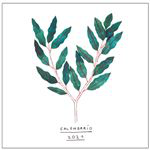 Calendario de pared 2021 Botánico características