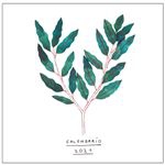 Calendario de pared 2021 Botánico