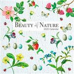 Calendario de pared 2020 Gifted 30 x 30 Beauty of Nature
