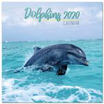 Calendario de pared 2020 Erik 30x30 multilingüe Dolphins en oferta