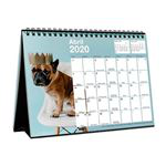Calendario 2020 sobremesa Miquelrius A5 Perros & gatos características