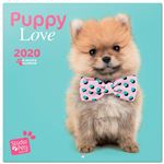 Calendario de pared 2020 Erik 30x30 multilingüe Studio Pets Puppy Love - Cachorros