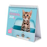 Calendario de escritorio 2020 Erik Deluxe multilingüe Studio Pets Cats - Perfect Kittens en oferta