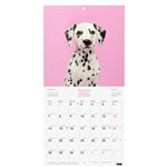 Calendario 2020 de pared Miquelrius 30x30 Perros & gatos características
