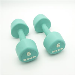 2 Mancuernas de 6 Kg Ziva Chic Studio Turquesa en oferta