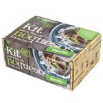 Kit Farmtastico vegancheese para hacer quesos veganos precio