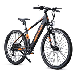 Fafrees Bicicleta de de Asistencia Eléctrica de 27.5 Pulgadas, Bicicleta de Montaña para Adultos con Motor de 250W/36V/10AH/IP54 (Entrega Completa del precio