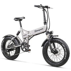 MX21 500W 20" Bicicleta eléctrica Plegable 4.0 Bicicleta montaña con neumático Gordo Bicicleta de Playa para Hombres y Mujeres con suspensión Completa características