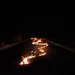 Battle Lines - Vinilo precio
