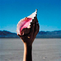 Wonderful Wonderful - Vinilo precio