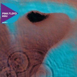 Meddle (Ed. Discovery remasterizada) precio