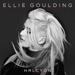 Halcyon características