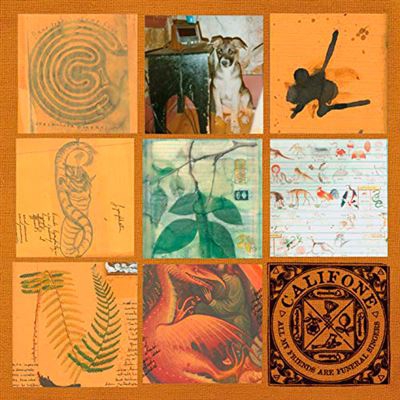 All My Friends are Funeral Singers