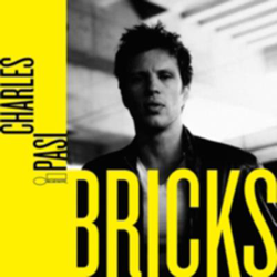 Bricks características