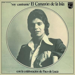 Soy caminante - Vinilo color características