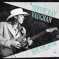 Blues you can use - Vinilo características