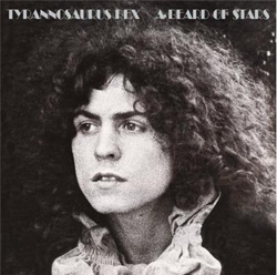 A Beard Of Stars - Vinilo precio
