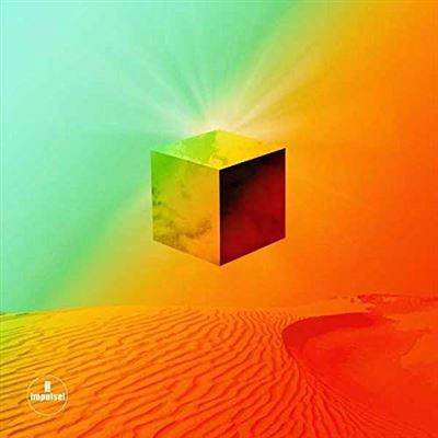 The Afterlife - Vinilo