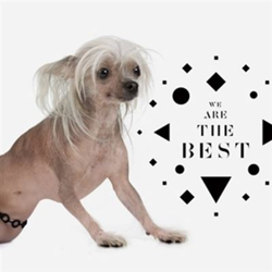 We Are The Best precio