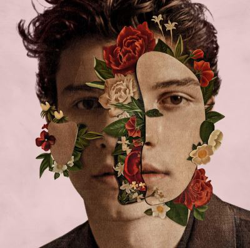 Shawn Mendes Ed Reissue en oferta