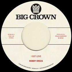 I Got Love/Loving Body - Single Vinilo características