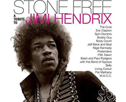 A Tribute To Jimi Hendrix - 2 Vinilos precio