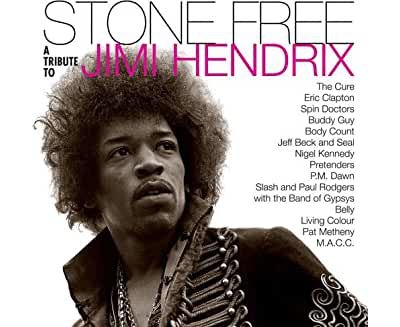 A Tribute To Jimi Hendrix - 2 Vinilos