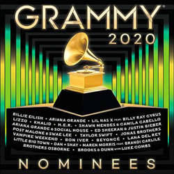 2020 Grammy Nominees características