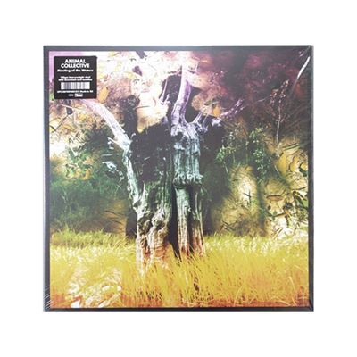 Meeting Of The Waters - Vinilo