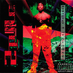 Strictly 4 My N.I.G.G.A.Z. - Vinilo precio