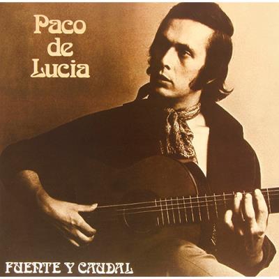 Fuente y caudal - Vinilo