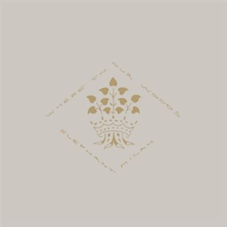 Where In Our Woods - Vinilo en oferta