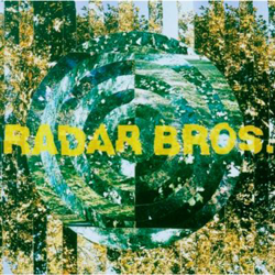 The Fallen Leaf Pages precio