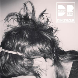 Kingsized (Edición vinilo) precio