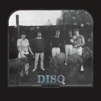 Collector - Vinilo
