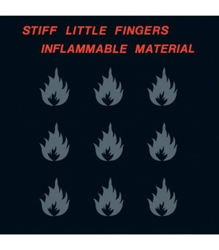 Inflammable Material - Vinilo características