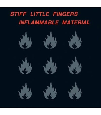 Inflammable Material - Vinilo