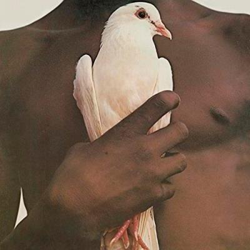 Greatest Hits (1974) - Vinilo en oferta